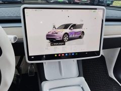 Tesla Model Y Long Range All-Wheel Drive - ფოტო 13