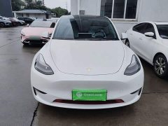 Tesla Model Y Long Range All-Wheel Drive - ფოტო 3