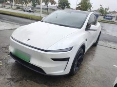 Tesla Model Y Rear-Wheel Drive - ფოტო 1