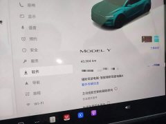Tesla Model Y Rear-Wheel Drive - ფოტო 12