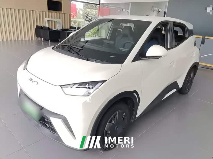 BYD Seagull Glory Edition 305km Vitality Version - ავტომობილი ჩინეთიდან