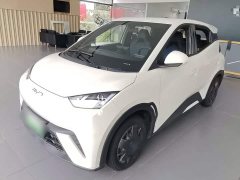 BYD Seagull Glory Edition 305km Vitality Version - ფოტო 1
