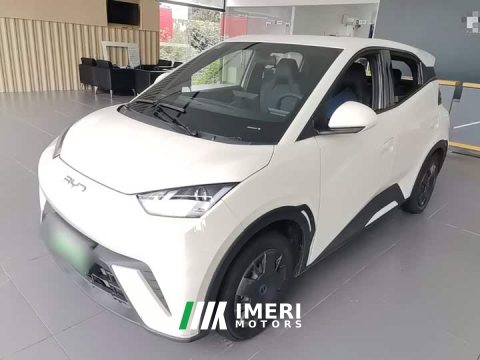 2024 BYD Seagull Glory Edition 305km Vitality Version - ავტომობილი ჩინეთიდან