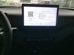BYD Seagull Glory Edition 305km Vitality Version - ფოტო 13