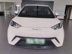BYD Seagull Glory Edition 305km Vitality Version - ფოტო 3