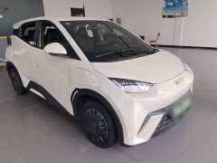 BYD Seagull Glory Edition 305km Vitality Version - ფოტო 4