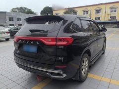 Haval M6 PLUS 1.5T DCT Elite Smart Connected Edition - ფოტო 7