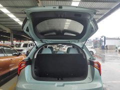 Geely Geometry E Firefly 301km Starlight - ფოტო 19