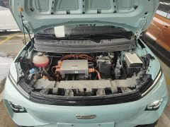 Geely Geometry E Firefly 301km Starlight - ფოტო 20