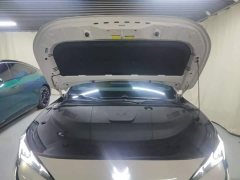 Arcfox Alpha S5 560MAX 185kW - ფოტო 20