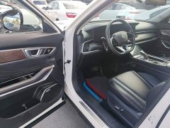 FAW Besturn T99 2020 20TD Automatic Flagship - ფოტო 16