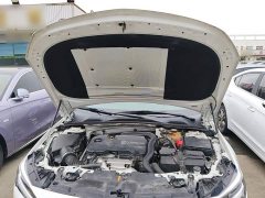 Buick Regal 2020 552T Luxury - ფოტო 20