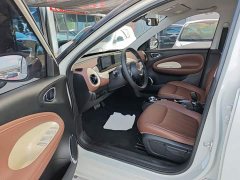 Wuling Binguo 333km Joy Edition - ფოტო 16