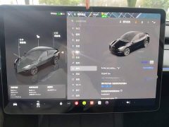 Tesla Model Y Rear-Wheel Drive - ფოტო 12