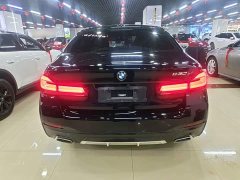 BMW 5 Series Facelift 530Li Luxury M Sport Package - ფოტო 6