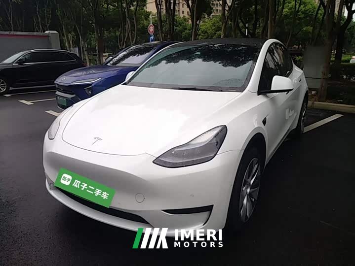 Tesla Model Y Rear-Wheel Drive - ავტომობილი ჩინეთიდან