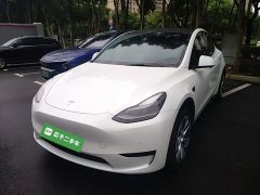 Tesla Model Y Rear-Wheel Drive - ფოტო 2