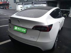 Tesla Model Y Rear-Wheel Drive - ფოტო 7