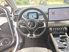 BYD Yuan Plus Glory Edition 510KM Leading - ფოტო 11