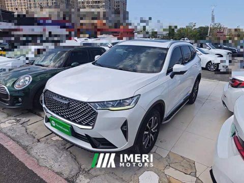 2021 Haval H6 Third Generation 1.5T Automatic Two-Wheel Drive Max - ავტომობილი ჩინეთიდან