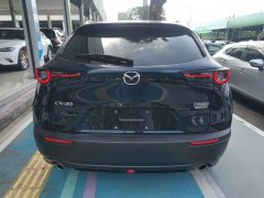 Mazda CX-30 2.0L Automatic Jia Yue Edition - ფოტო 6