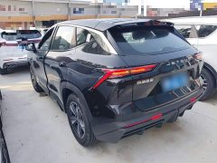 Jetour Jietu Dasheng 2023 1.5T DCT Starlight PRO - ფოტო 5