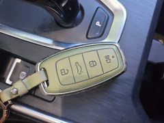 Haval H6 National Trend 1.5GDIT Automatic Champion Edition - ფოტო 9