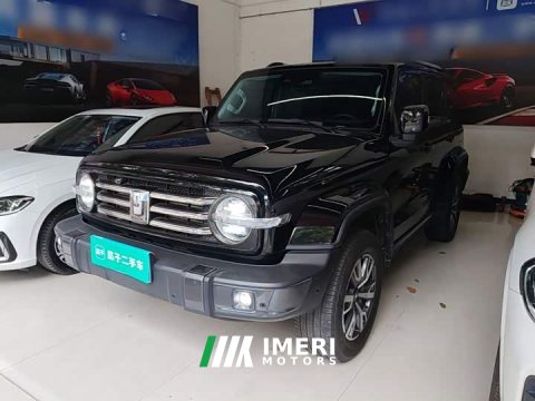 2023 Tank 300 City Edition 2.0T Stylish - ავტომობილი ჩინეთიდან