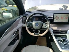 BYD Song Pro New Energy DM-i 71KM Glory Edition Leading - ფოტო 11