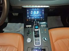 Chery Tiggo 8 PLUS 290TGDI DCT Luxury Plus Edition - ფოტო 14