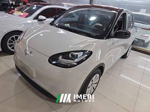 2024 Wuling Binguo 203km Light Enjoy Edition