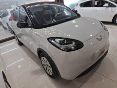 Wuling Binguo 2023 203km Light Enjoy Edition - ფოტო 4