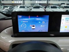 Wuling Binguo 2023 333km Joy Edition - ფოტო 12