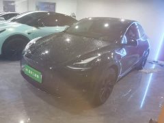 Tesla Model Y Long Range All-Wheel Drive - ფოტო 1
