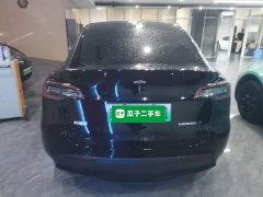 Tesla Model Y Long Range All-Wheel Drive - ფოტო 4