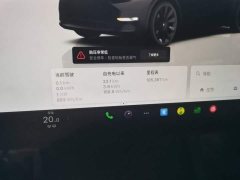 Tesla Model Y Long Range All-Wheel Drive - ფოტო 8