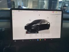 Tesla Model Y Long Range All-Wheel Drive - ფოტო 9