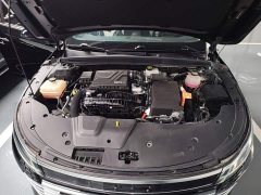 BYD Destroyer 05 Glory Edition DM-i 55KM Luxury - ფოტო 20