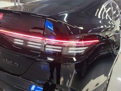 BYD Destroyer 05 Glory Edition DM-i 55KM Luxury - ფოტო 8