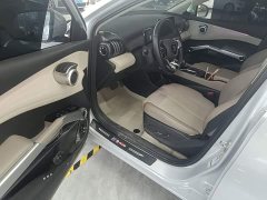 BYD Yuan Plus Glory Edition 430KM Leading - ფოტო 16