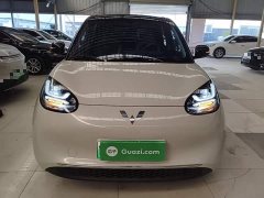 Wuling Binguo 333km Joy Edition - ფოტო 3
