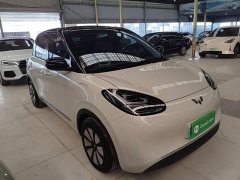 Wuling Binguo 333km Joy Edition - ფოტო 4
