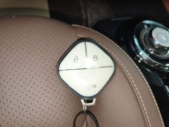 Wuling Binguo 333km Joy Edition - ფოტო 9