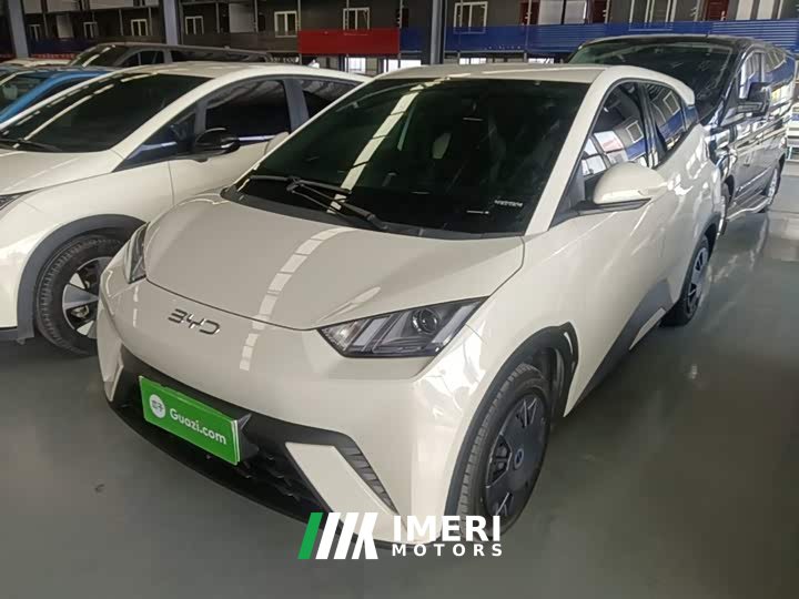 BYD Seagull Glory Edition 305km Vitality Version - ავტომობილი ჩინეთიდან