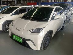 BYD Seagull Glory Edition 305km Vitality Version - ფოტო 1