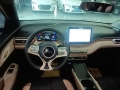 BYD Seagull Glory Edition 305km Vitality Version - ფოტო 10