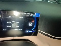BYD Seagull Glory Edition 305km Vitality Version - ფოტო 12