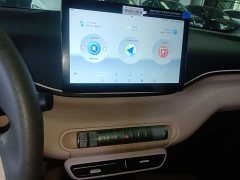 BYD Seagull Glory Edition 305km Vitality Version - ფოტო 13