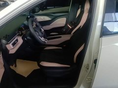 BYD Seagull Glory Edition 305km Vitality Version - ფოტო 15