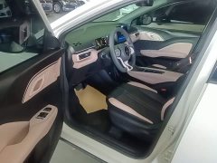 BYD Seagull Glory Edition 305km Vitality Version - ფოტო 16